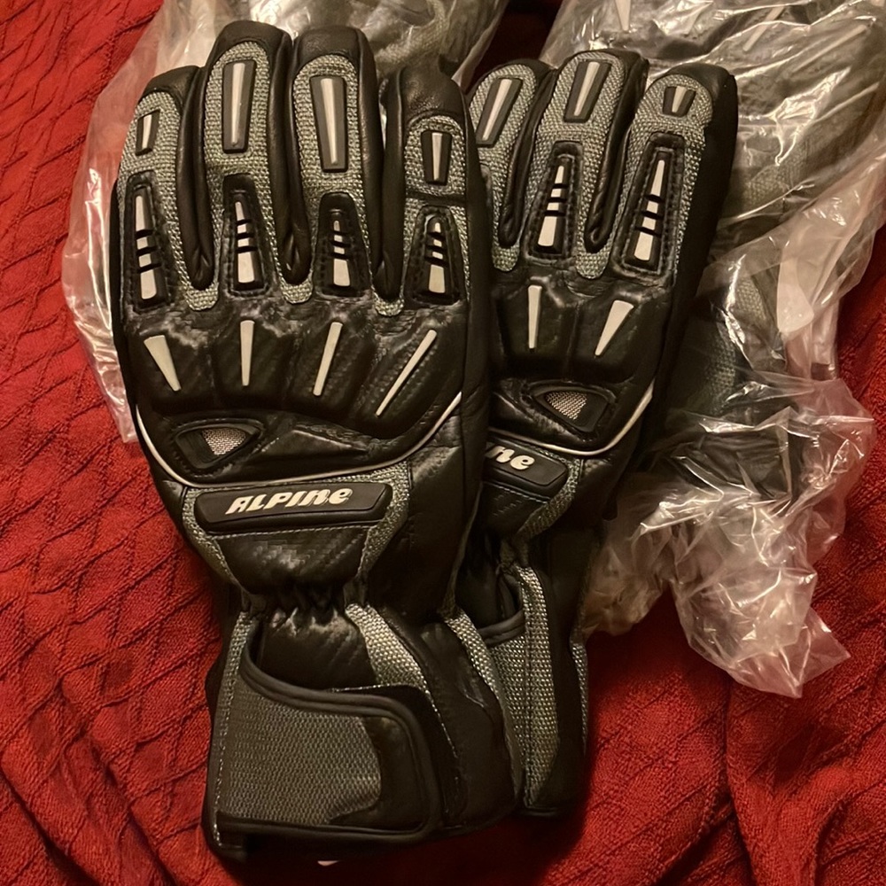 Alpine Work/ski gloves